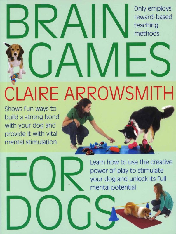 Dog Brain Games: Fun Ways to Train Your Puppy