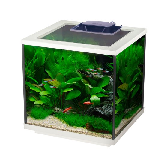 Aqua Cube 28 Litres : Interpet